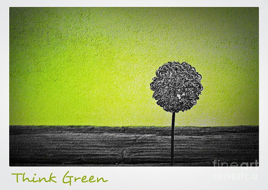 Think Green II Photograph by Binka Kirova