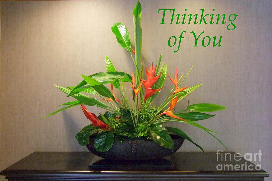 Thinking of You - Red Heliconia Photograph by Mary Deal