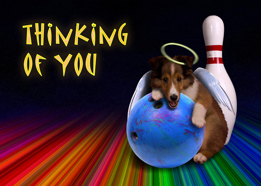 Candy Photograph - Thinking of You Angel Sheltie Puppy by Jeanette K