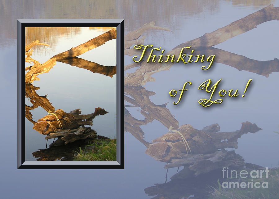 Sunset Photograph - Thinking of You Fish by Jeanette K