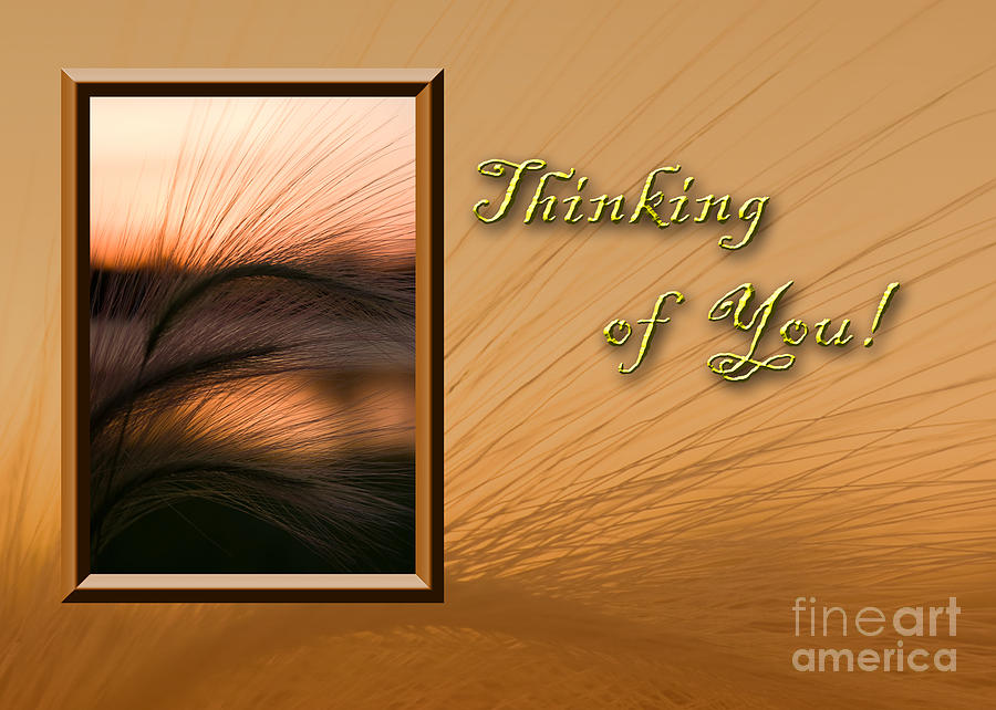 Sunset Photograph - Thinking of You Grass Sunset by Jeanette K