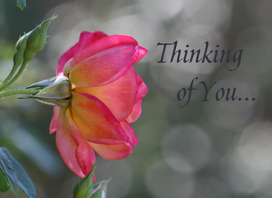 Thinking of You Photograph by Marna Edwards Flavell