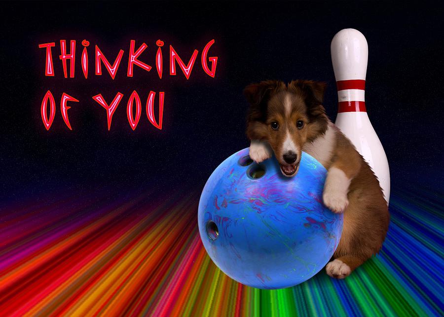 Candy Photograph - Thinking of You Sheltie Puppy by Jeanette K