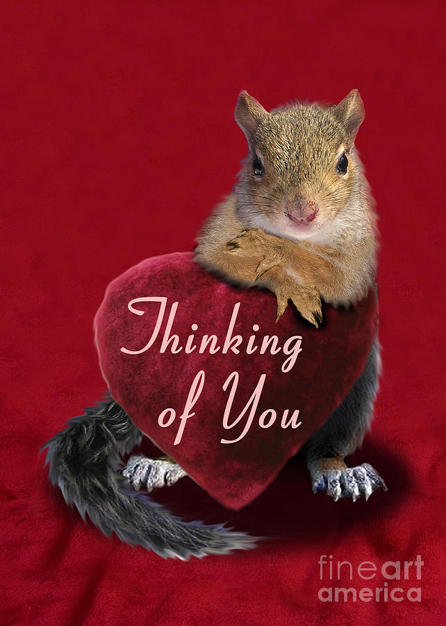 Candy Photograph - Thinking of You Squirrel by Jeanette K