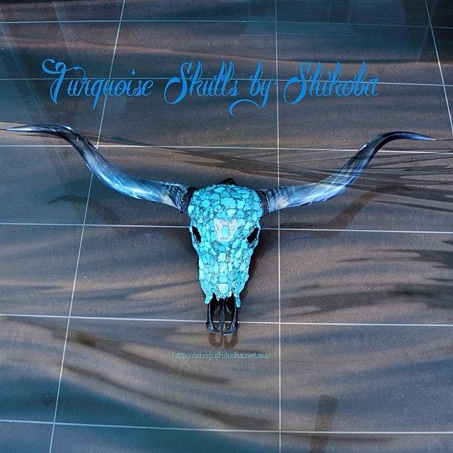 Turquoise Photograph - Thinking Turquoise Skulls Think Shikoba by Shikoba Photography