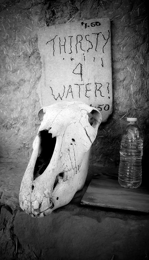 Thirsty For Water - Water Sign Photograph