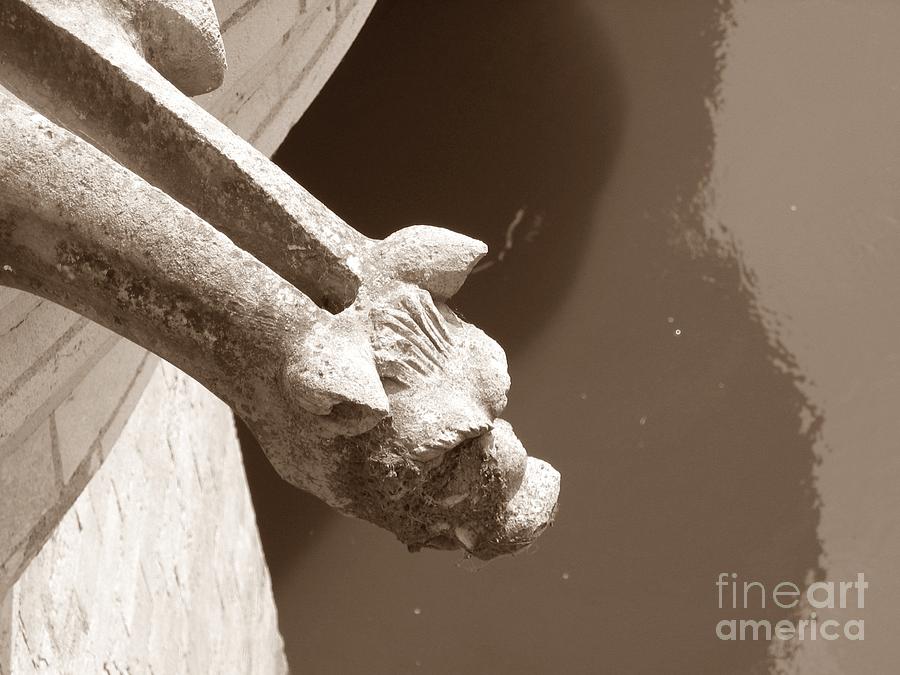 Thirsty Gargoyle - Sepia Photograph by HEVi FineArt