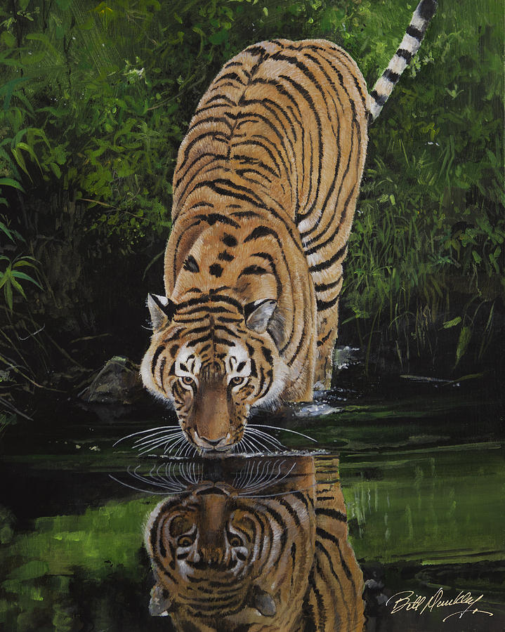 Thirsty Tiger Painting by Bill Dunkley - Fine Art America