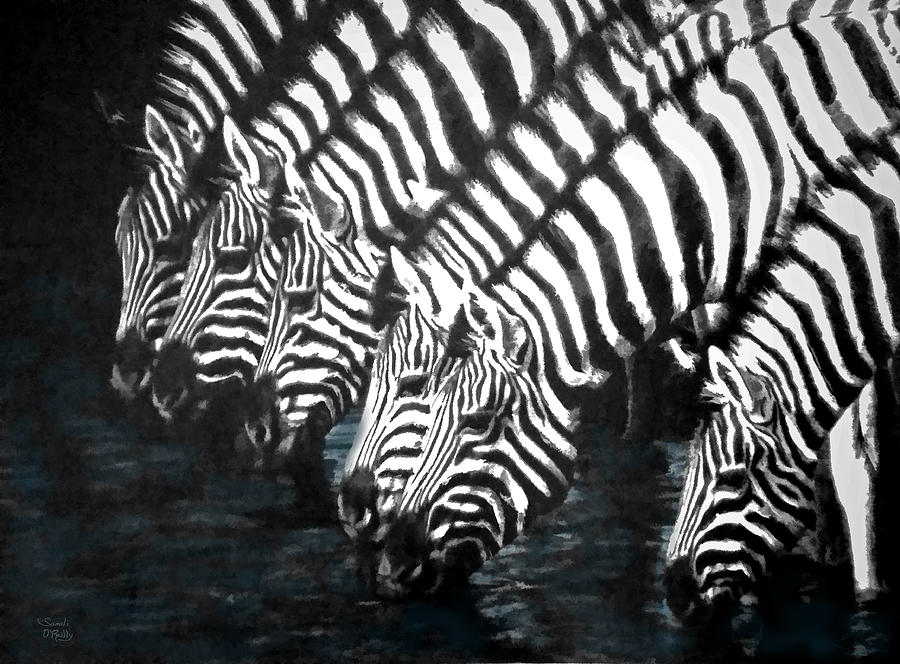 Thirsty Zebras  Painting by Sandi OReilly