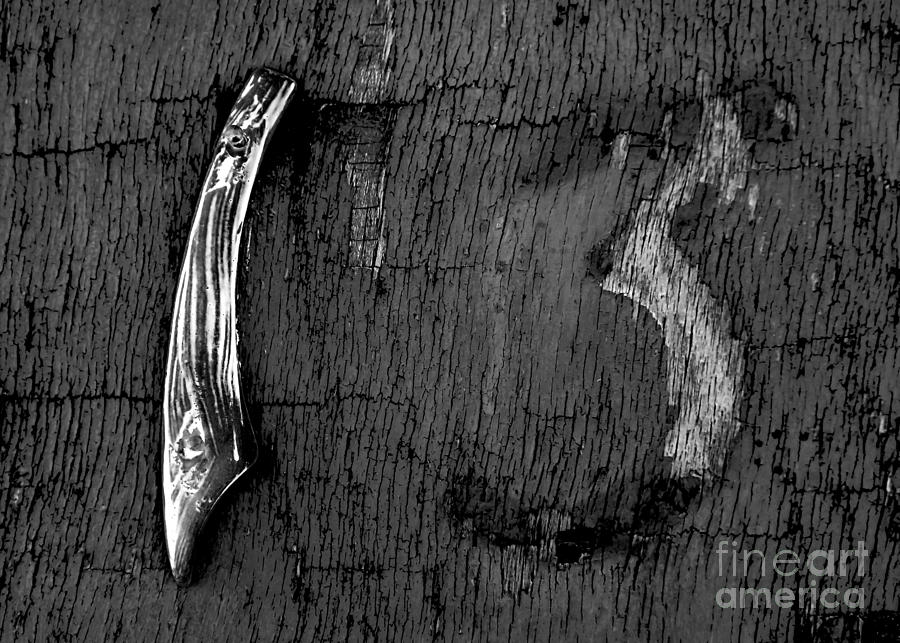 Thirteen Photograph by James Aiken - Fine Art America