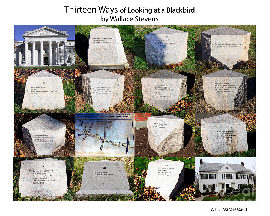 Thirteen Ways of Looking at a Blackbird Photograph by Thomas Marchessault