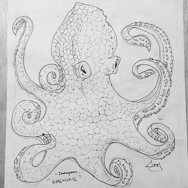 Octopus Photograph - This Awesome #octopus Was Drawn By by Kessa Pellum