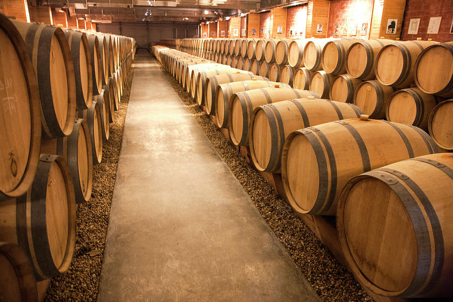 Wine Photograph - This Is A Storage Area For Wine by Mallorie Ostrowitz
