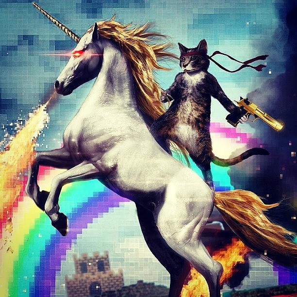 Unicorn Photograph - This Is.... Awesome! #cat #unicorn by Braden Chaufty