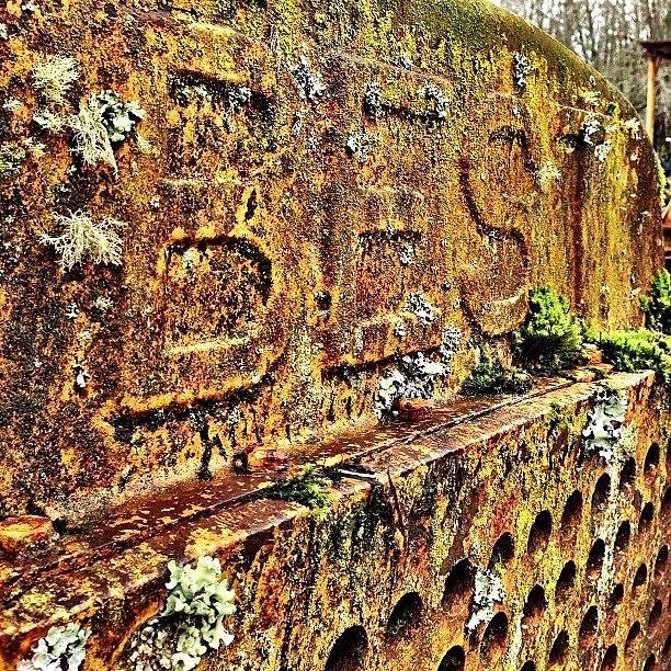 Rusted Photograph - This Is Just The Best by Jon Kraft