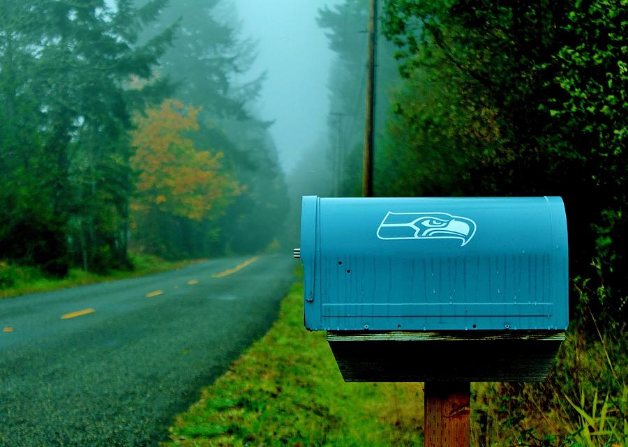 This Is Seahawk Country Photograph by Benjamin Yeager