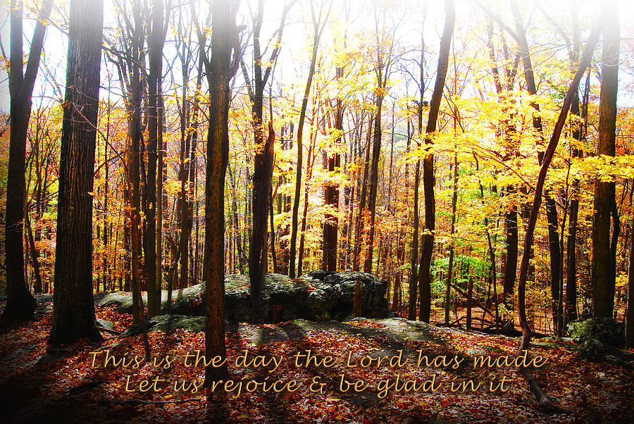 This Is The Day Bible Verse Autumn Woods Art Digital Art By Alissa  Skoczelak | Pixels