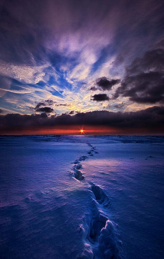 This Is The Way Photograph by Phil Koch - Fine Art America