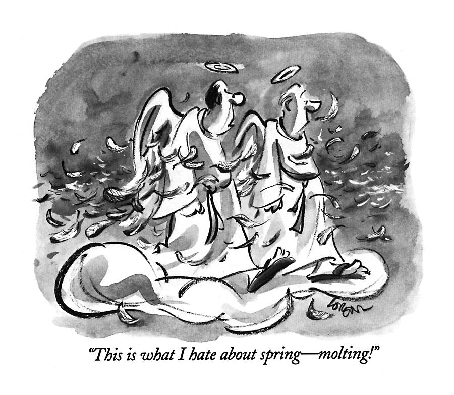 This Is What I Hate About Spring - Molting! Drawing by Lee Lorenz