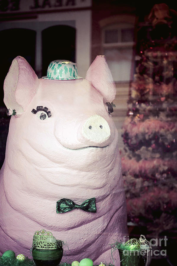 This Little Piggys Party  Photograph by Trish Mistric