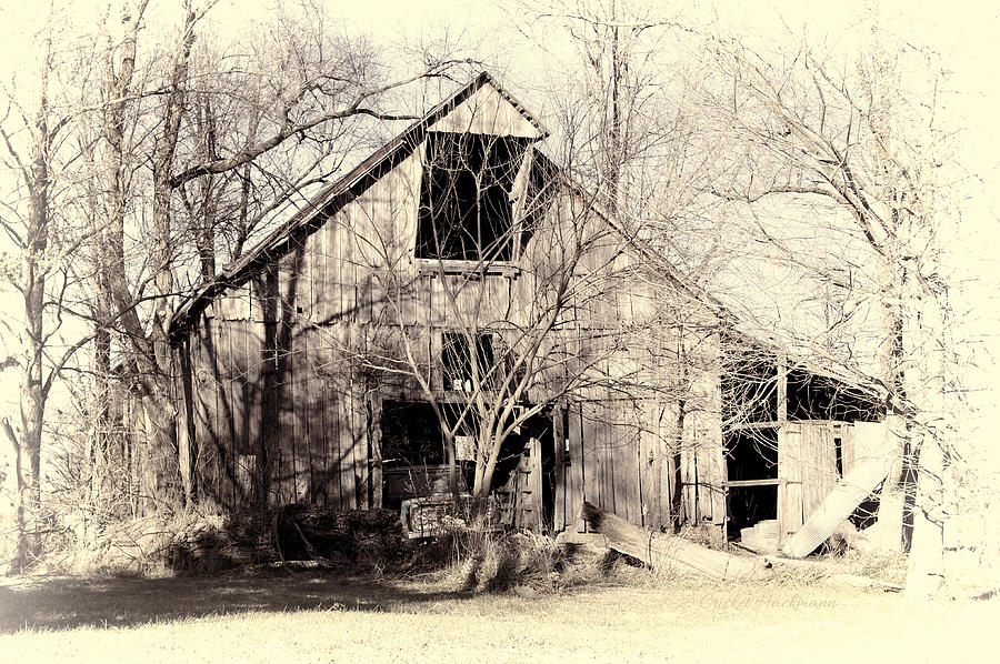 Barn Photograph - This Old Barn by Cricket Hackmann