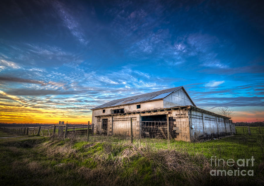 Cow Photograph - This Old Barn by Marvin Spates