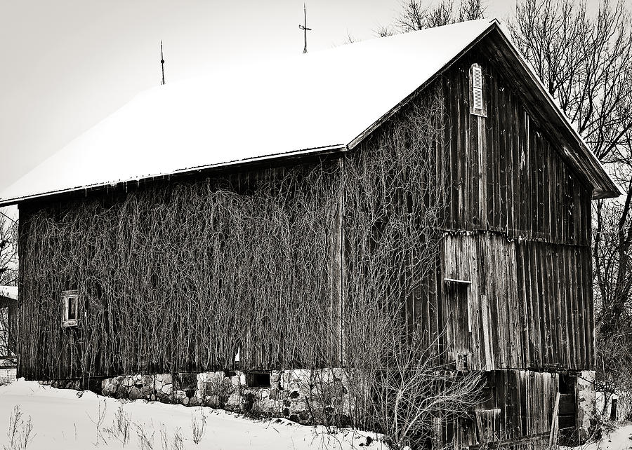 This Old Barn Photograph by Sennie Pierson
