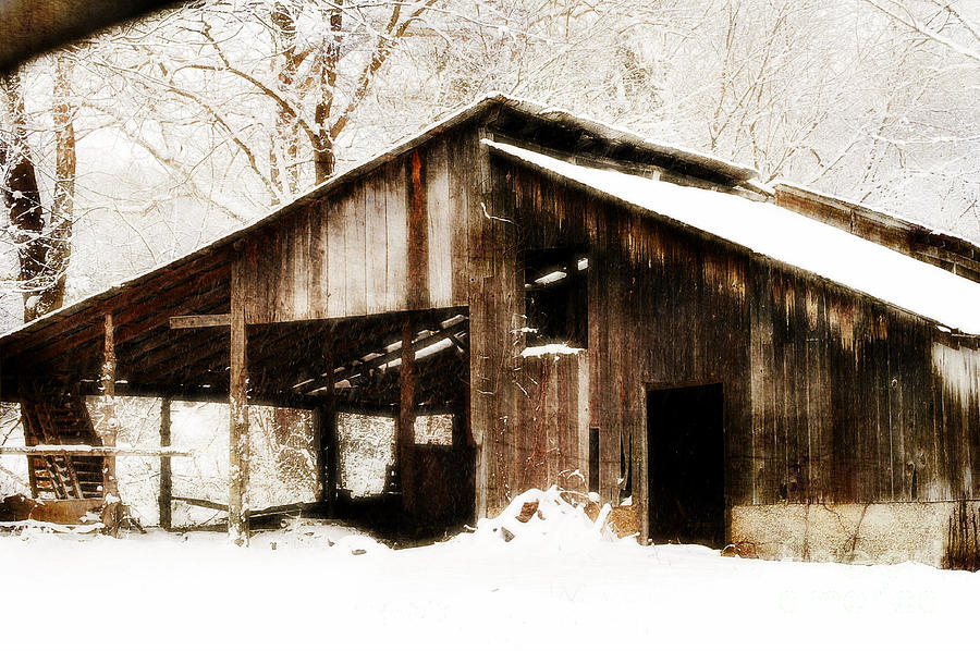 This Old Shack Photograph by Peggy Franz