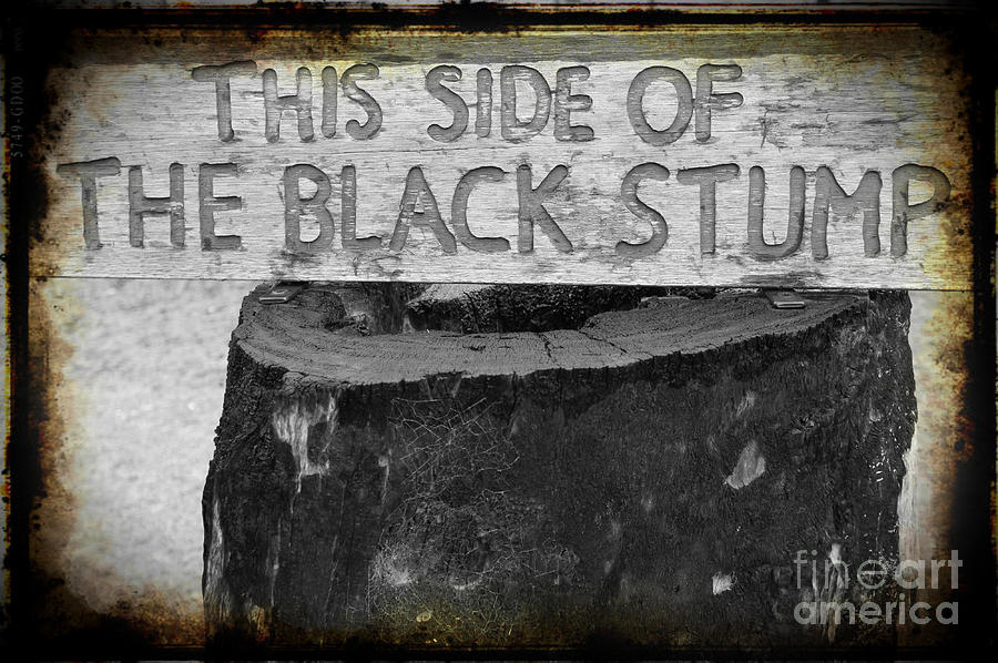 This Side of the Black Stump Photograph by Therese Alcorn