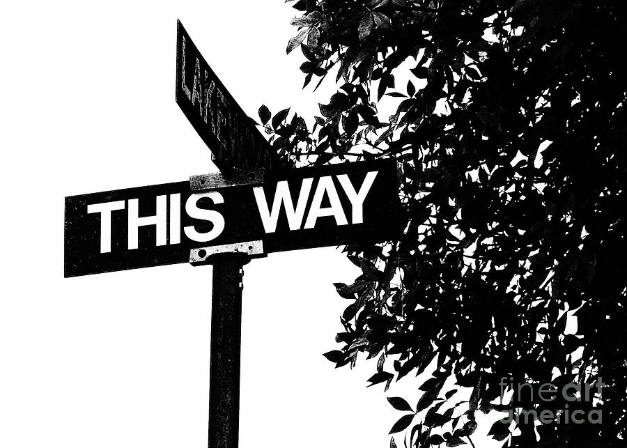 THIS Way Street Sign in B W Photograph by Connie Fox