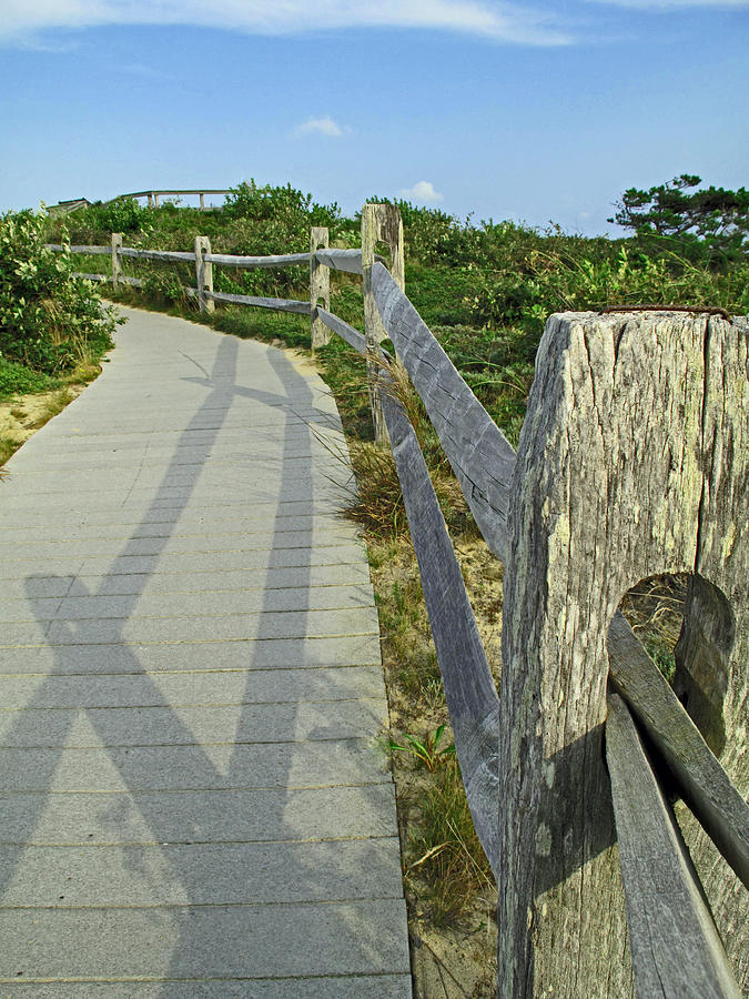 This Way to the Beach Photograph by Barbara McDevitt