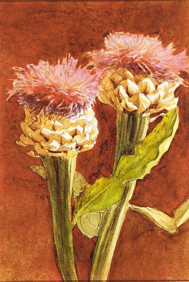 Thistle Painting by John Singer Sargent