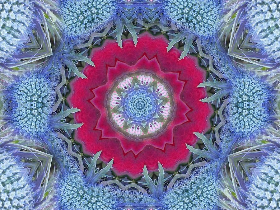 Thistle Portal Mandala Digital Art by Diane Lynn Hix