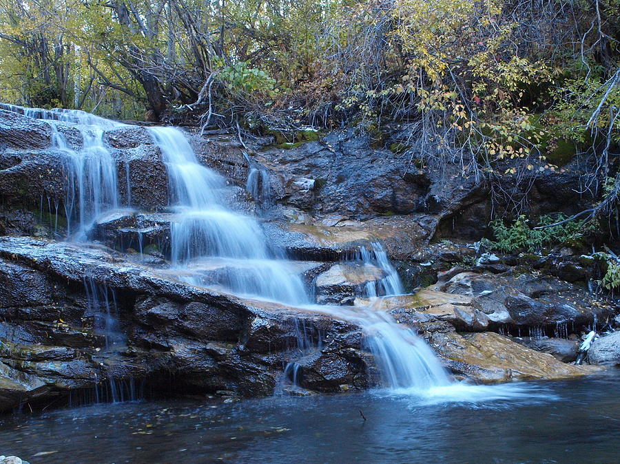 Thomas Creek Falls Photograph by Jenessa Rahn