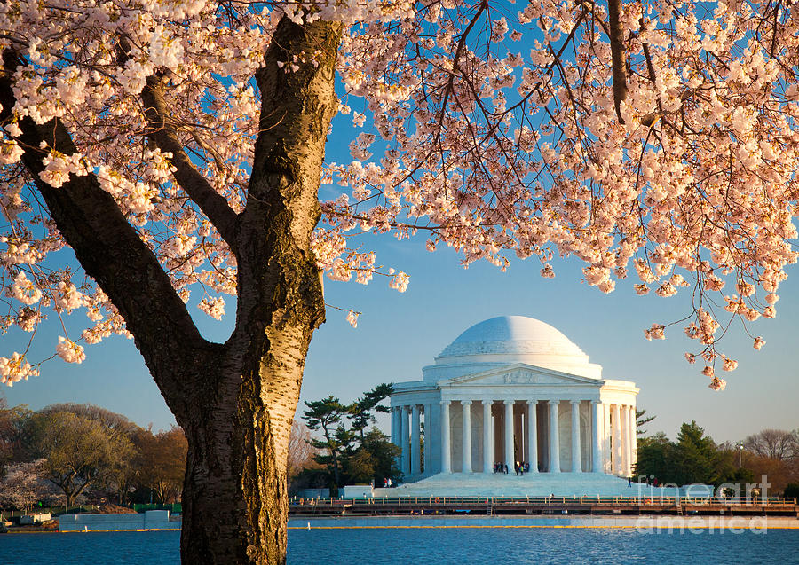 Thomas Jefferson Memorial Photograph by Inge Johnsson