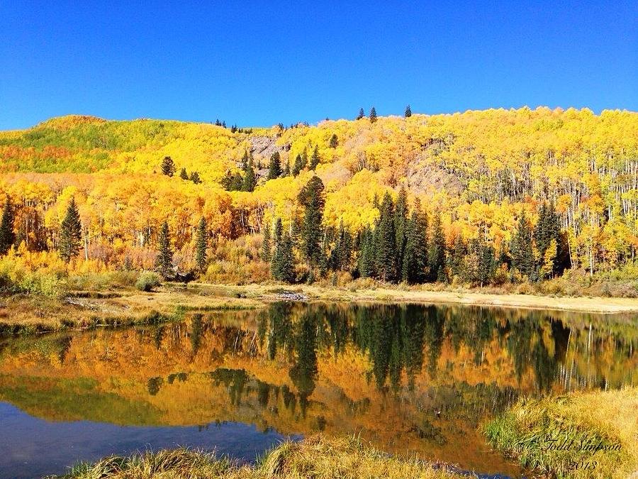 Thompson Lake Reflections Photograph by Todd Simpson - Fine Art America