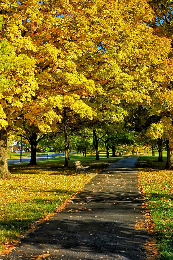 Fall Photograph - Thompson Park UA 2014 by Beth Akerman