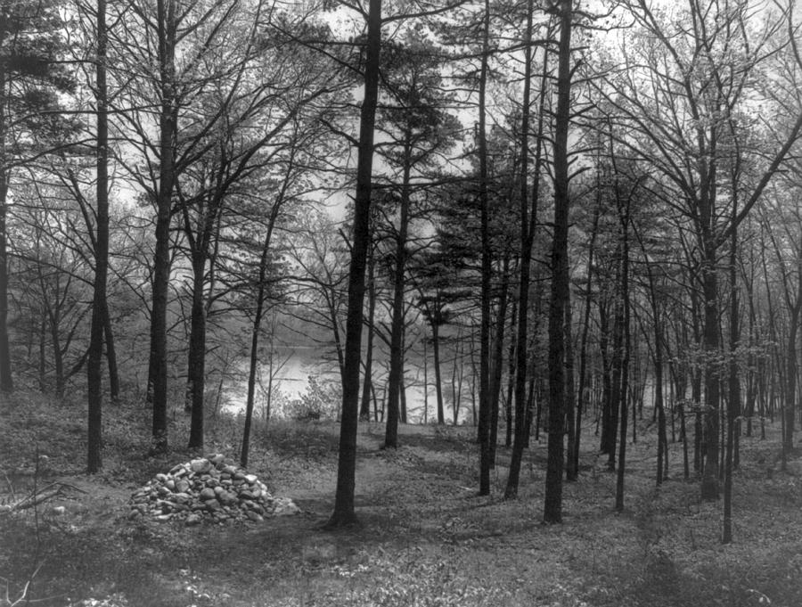 Thoreau Walden Pond Photograph by Granger