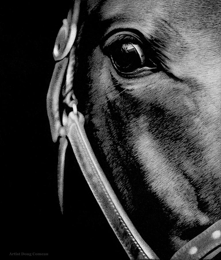 Thoroughbred Drawing by Stirring Images