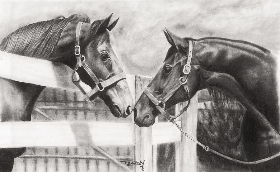 Thoroughbreds Drawing by Paul Treadway