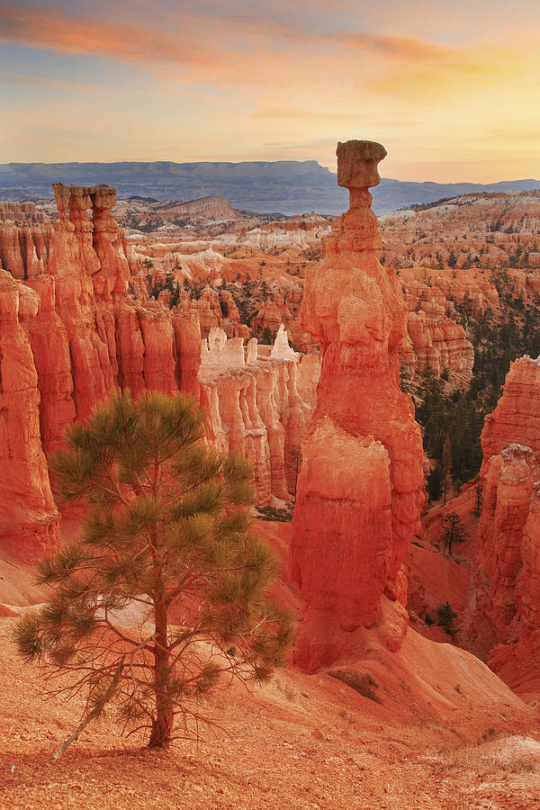 Thors Hammer in the Bryce Canyon Amphitheater Photograph by Alan Vance Ley