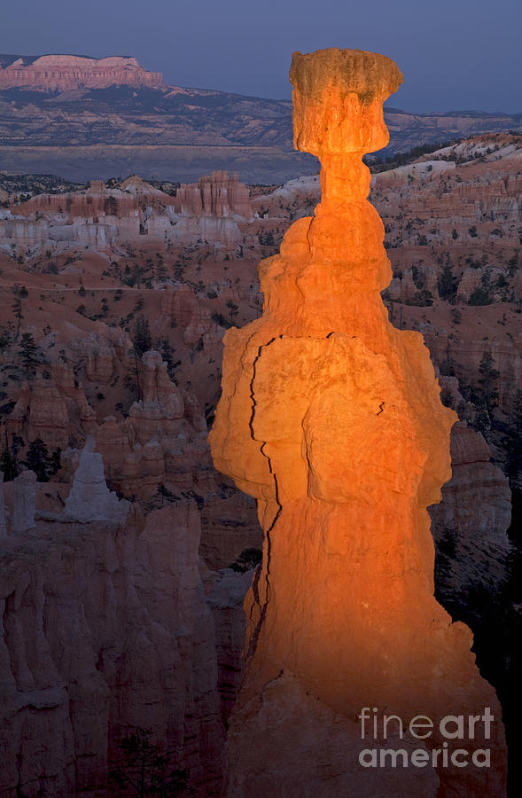 Thors Hammer Sunset Point Bryce Canyon National Park Photograph by Fred Stearns