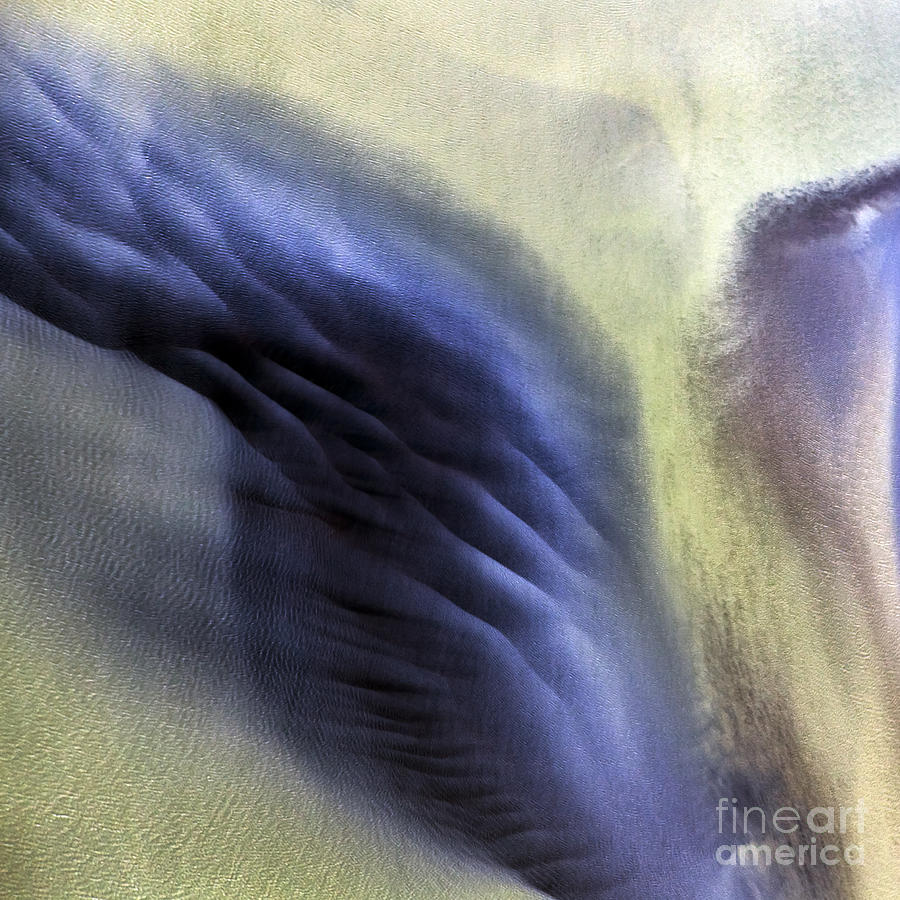 Thor wing Photograph by Gunnar Orn Arnason
