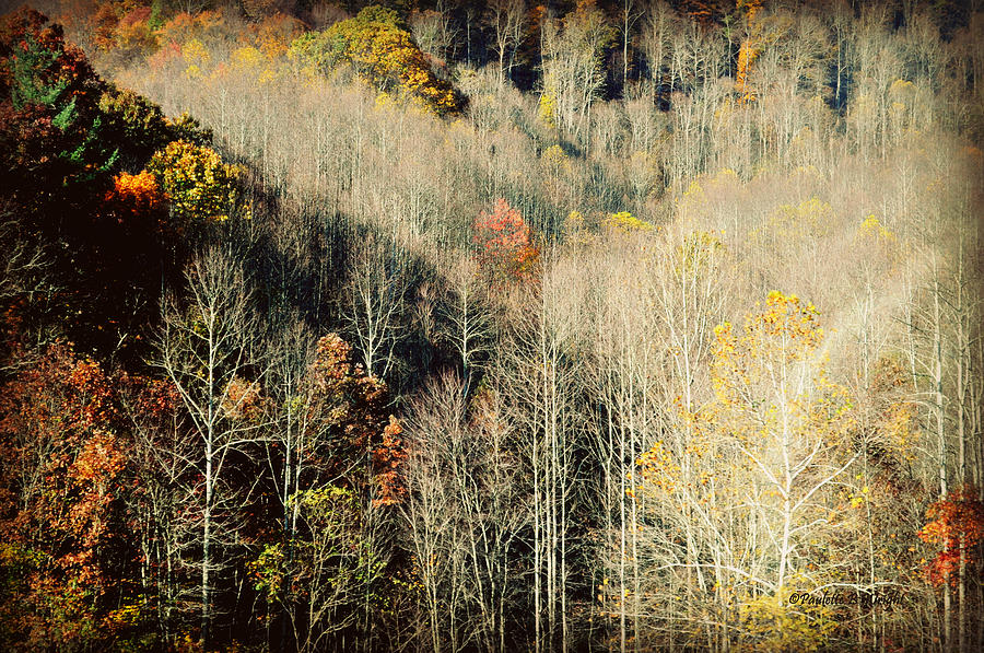 Those West Virginia Hills Photograph by Paulette B Wright