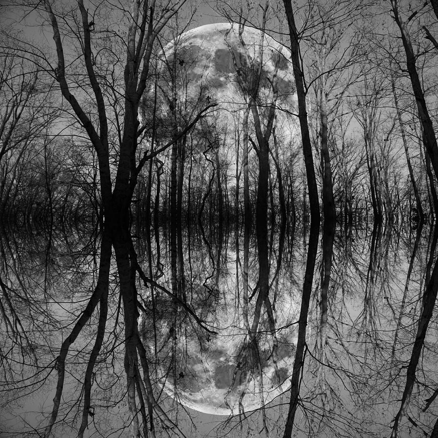 Full Photograph - Thought Conjurer by Betsy Knapp Full Photograph - Thought Conjurer by Betsy Knapp