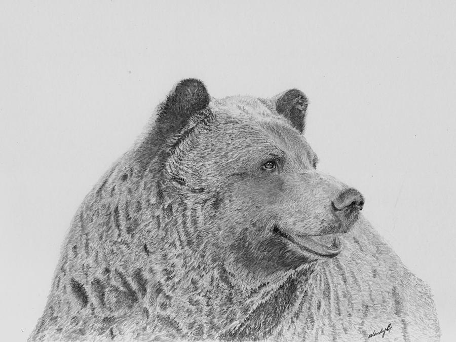 Wildlife Drawing - Thoughtful Boo by Wendy Brunell