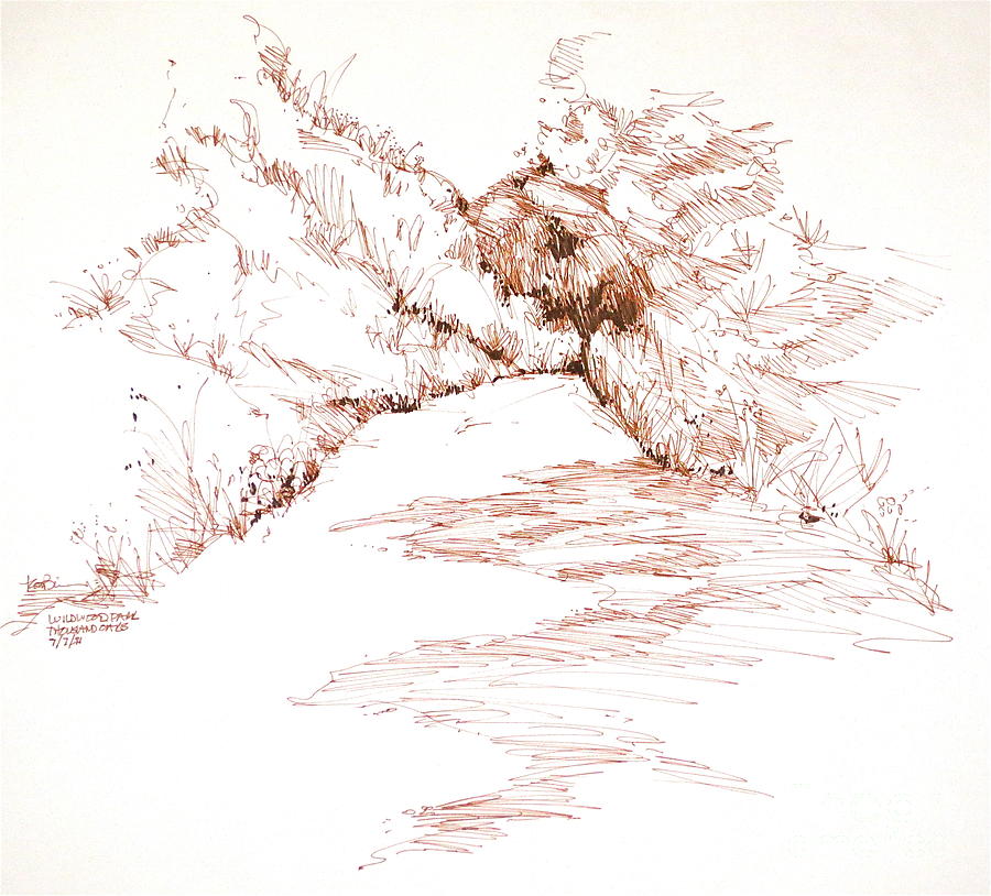 Thousand Oaks CA  Wildwood Trail Path Drawing by Robert Birkenes