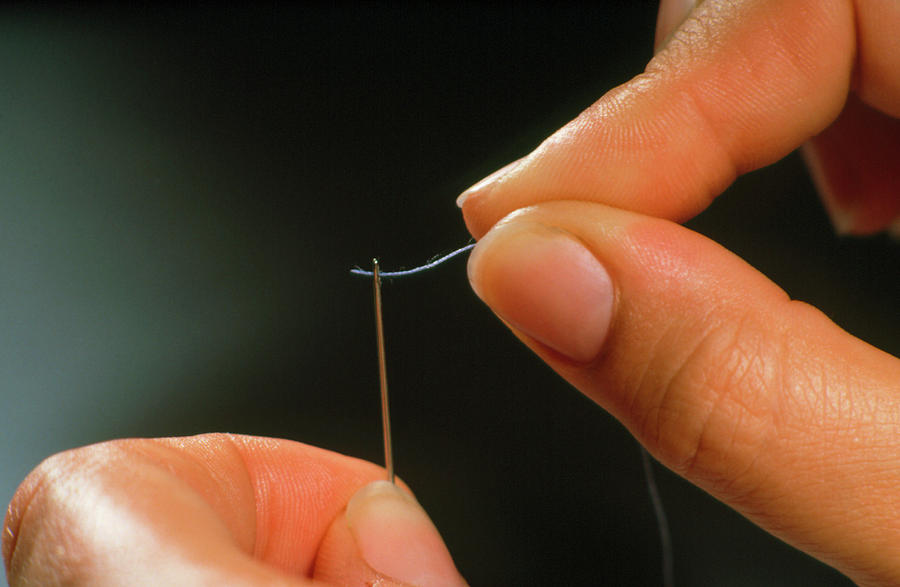 Threading A Needle. Photograph by Damien Lovegrove/science Photo Library