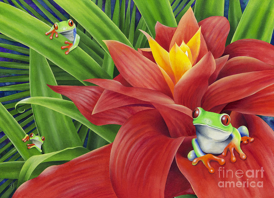 Frog Painting - Three Amigos by MGL Meiklejohn Graphics Licensing