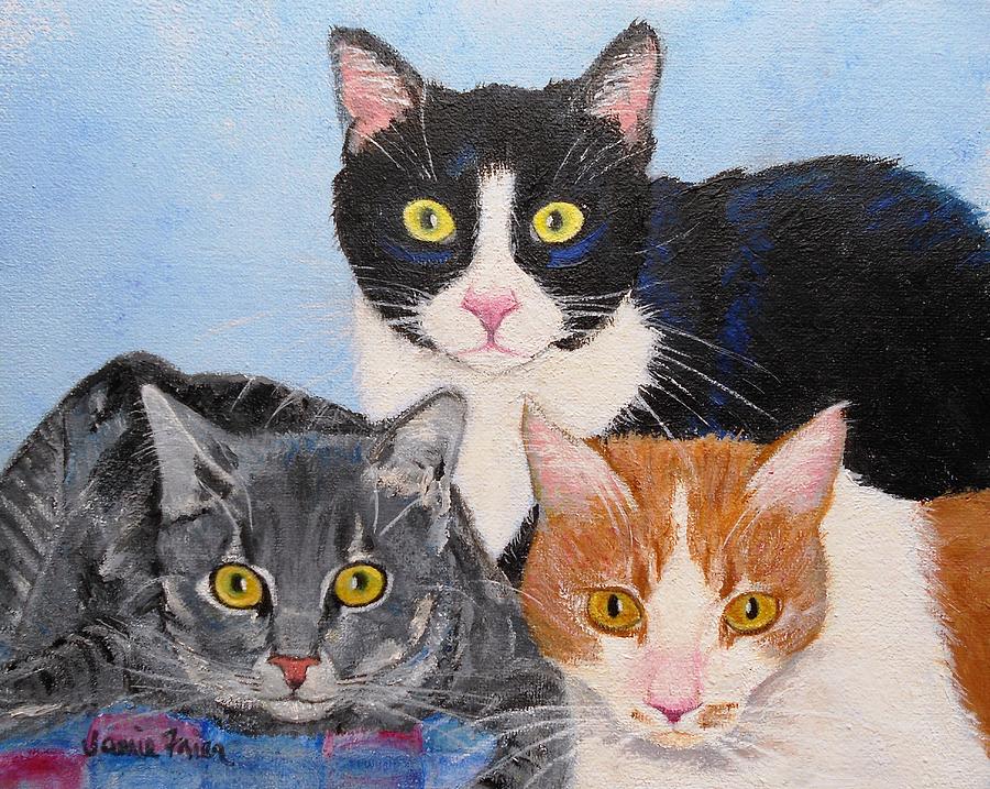 Cat Painting - Three Amigos by Jamie Frier